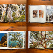 Load image into Gallery viewer, COAST BRUCE USHER