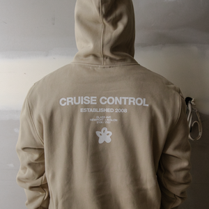 CRUISE CONTROL HOOD