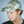 ASHFALL CAP