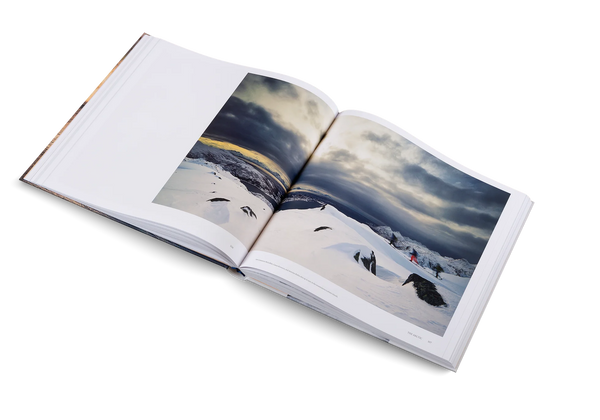 POWDER SKIING AND SNOWBOARDING BOOK