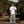 GENUINE SENTIMENT HEAVYWEIGHT BOXY TEE