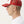 TROPHY TRUCKER CAP