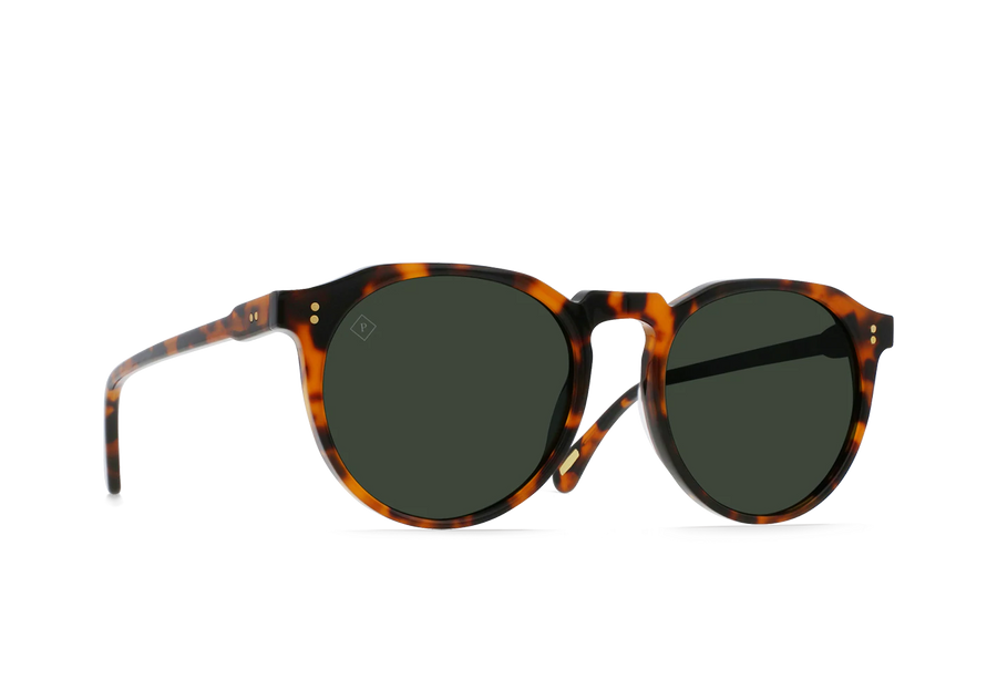 REMMY 52 POLAR